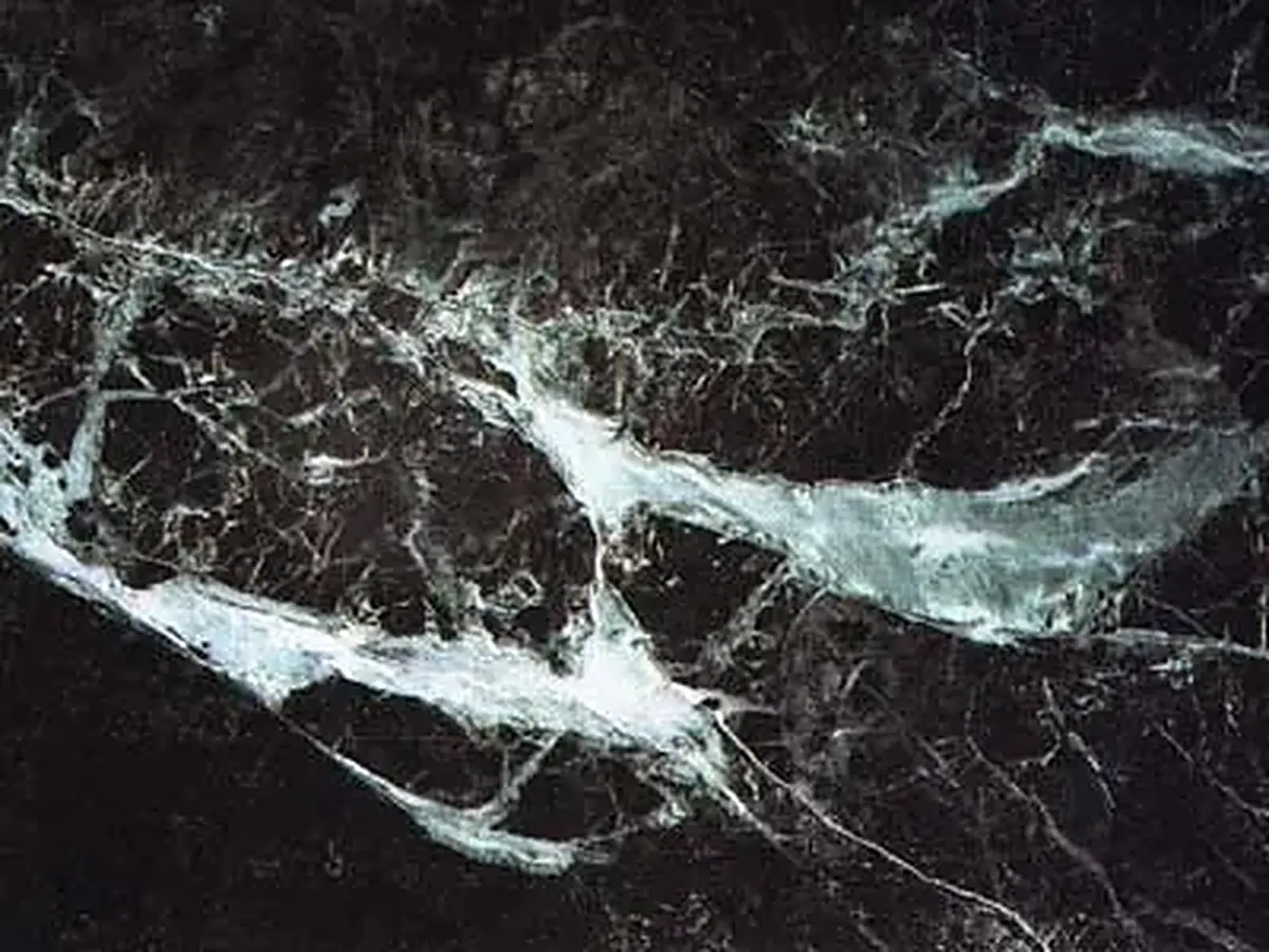 Verde Acceglio marble polished sample – Marmi di Carrara – black, charcoal (1)