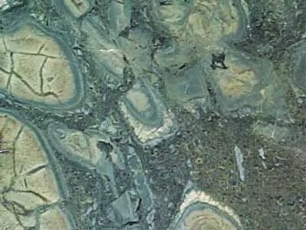 Verde Arena granito, muestra pulida – Marmi di Carrara – verde, gris (1)