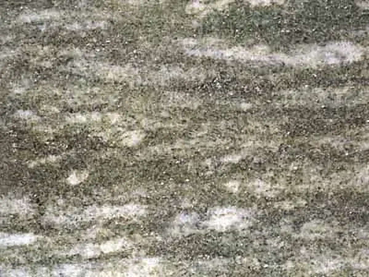 Verde Argento granite polished sample – Marmi di Carrara – grey, green (1)