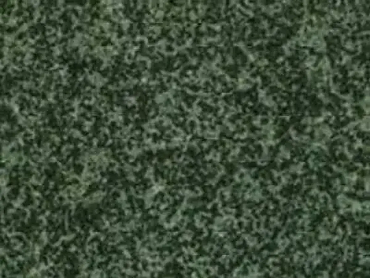 Verde Assoluto G 4101 granito, campione lucido – Marmi di Carrara – antracite, nero (1)
