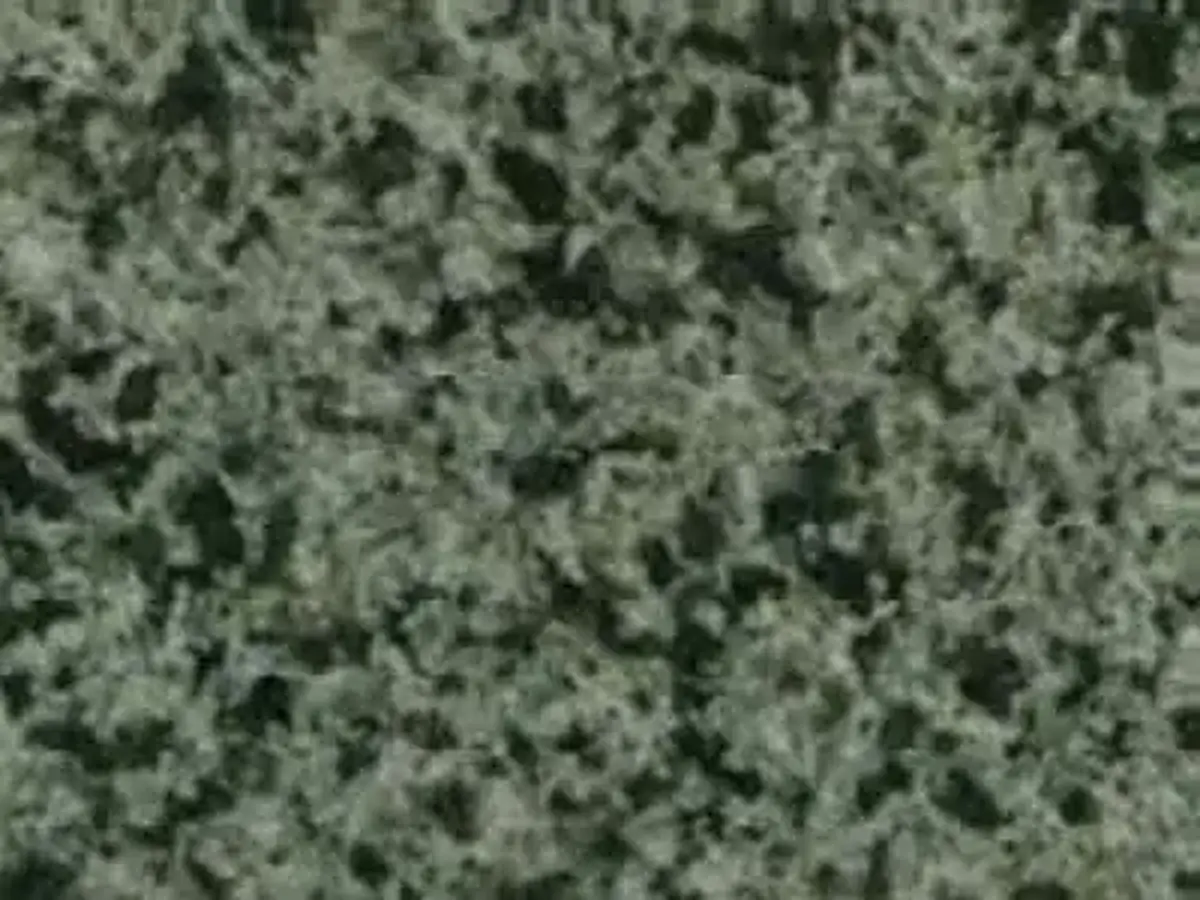 Verde Crystal G 061 granito, campione lucido – Marmi di Carrara – verde, antracite (1)