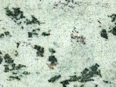 Verde Eucalipto granit, échantillon poli – Marmi di Carrara – ivoire, gris clair (1)
