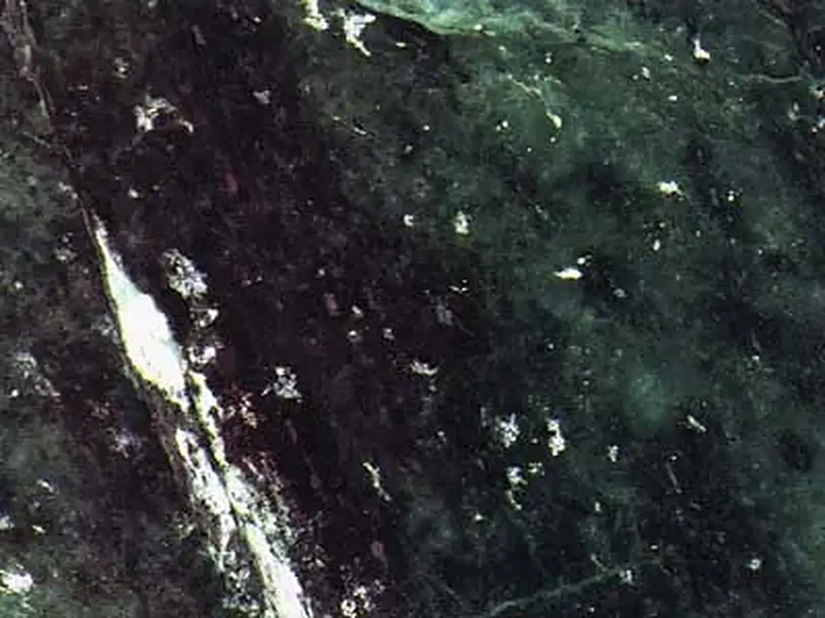 Verde Giada marble polished sample – Marmi di Carrara – black, charcoal (1)