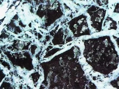 Verde Gressoney marble polished sample – Marmi di Carrara – ivory, black (1)