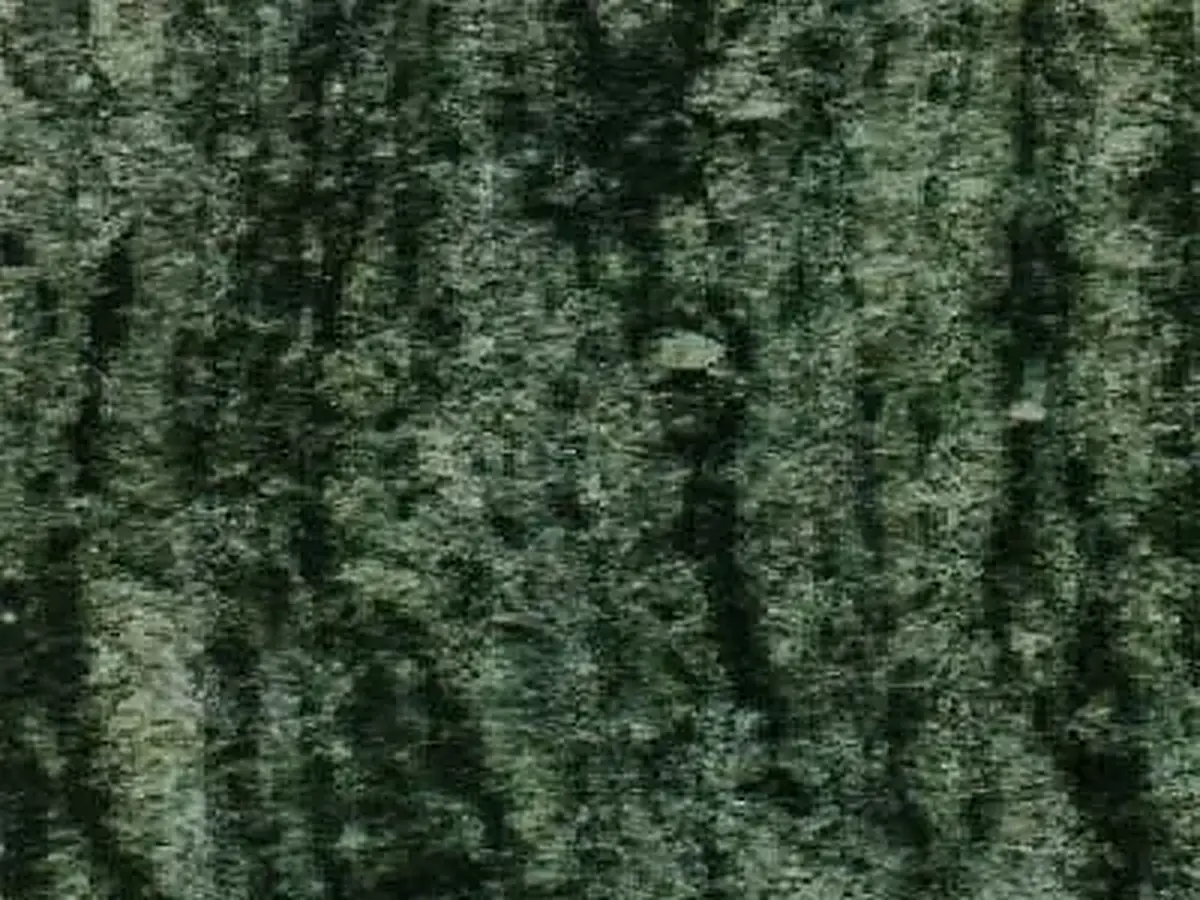 Verde Maritaca гранит, полированный образец – Marmi di Carrara – антрацитовый, чёрный (1)