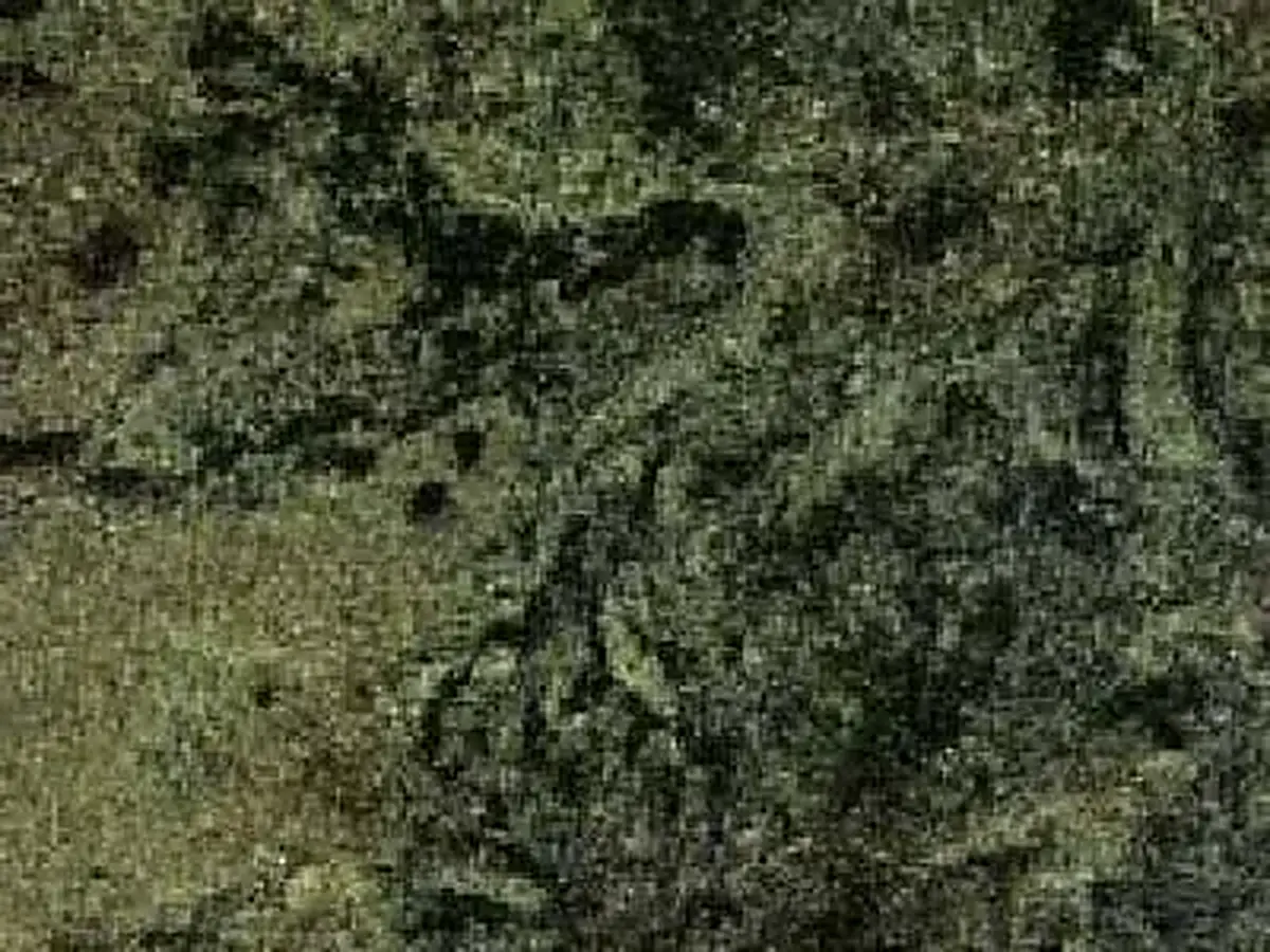 Verde São Francisco Granit, polierte Probe – Marmi di Carrara – anthrazit, schwarz (1)