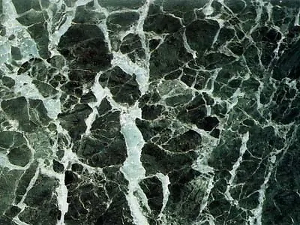 Verde Tinos marbre, échantillon poli – Marmi di Carrara – anthracite, noir (1)