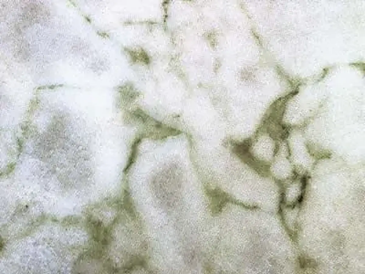 Verde Xiropotamos marble polished sample – Marmi di Carrara – white, light grey (1)