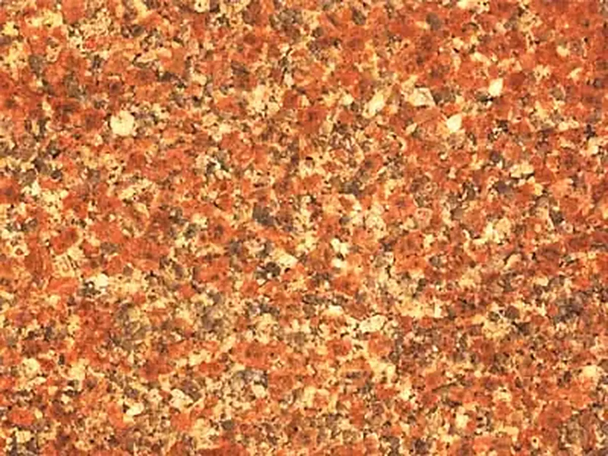 Vermelho Biritiba granito, muestra pulida – Marmi di Carrara – dorado (1)