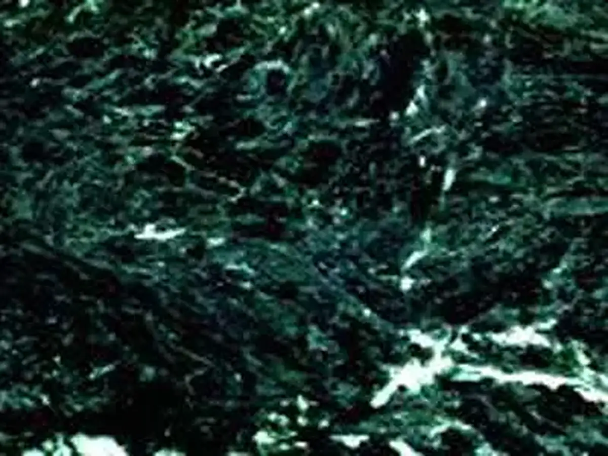 Vermont Verde Antique serpentinita, muestra pulida – Marmi di Carrara – negro, antracita (1)