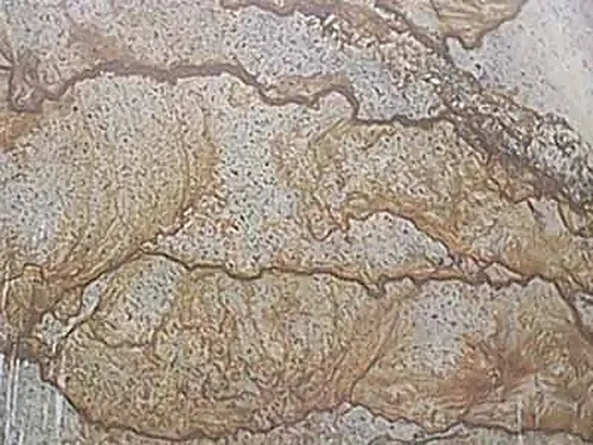 Verniz Tropical granito, muestra pulida – Marmi di Carrara – gris, beige (1)