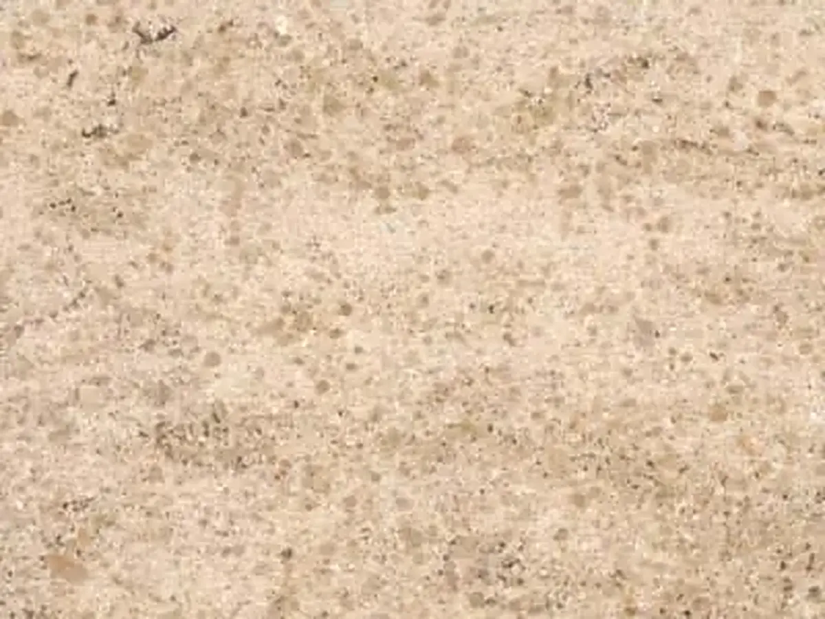 Vilhonneur limestone polished sample – Marmi di Carrara – beige, ivory (1)