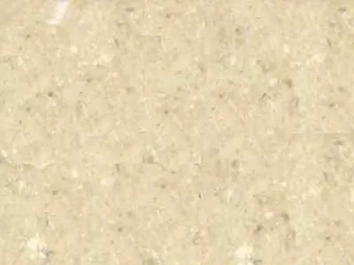 Vratza Beige limestone polished sample – Marmi di Carrara – ivory, beige (1)