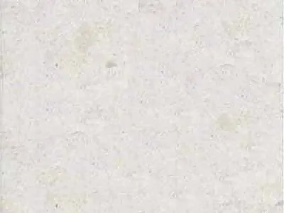 Vratza Grey limestone polished sample – Marmi di Carrara – ivory, white (1)