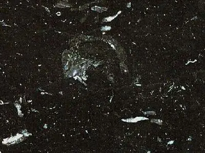 Vytina Black limestone polished sample – Marmi di Carrara – black, charcoal (1)