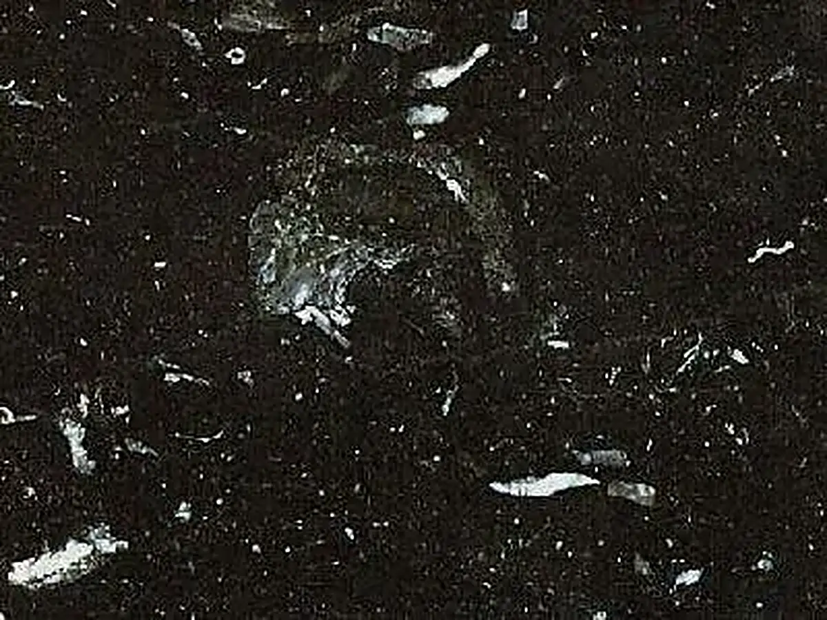 Vytina Black limestone polished sample – Marmi di Carrara – black, charcoal (1)