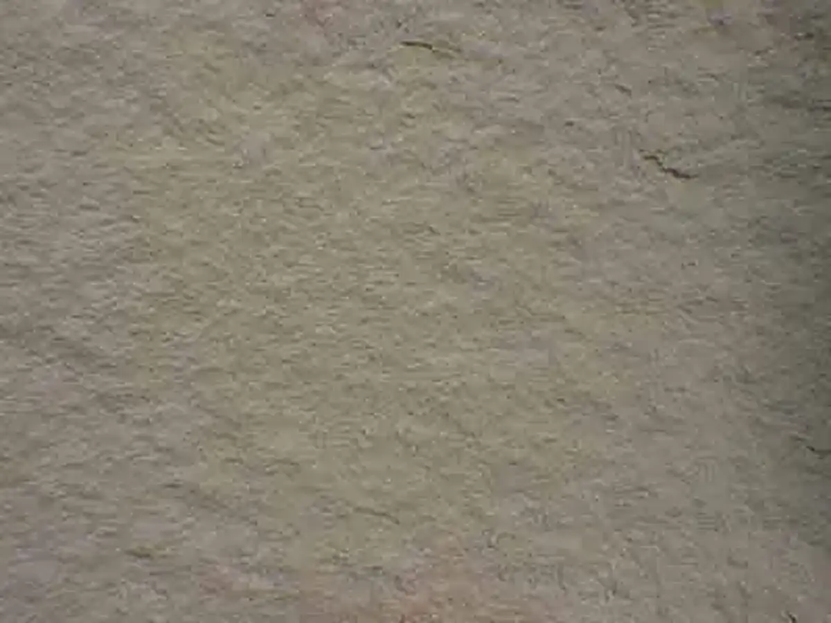 Wallace sandstone polished sample – Marmi di Carrara – grey, green (1)