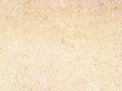 Warthau Sandstone sandstone polished sample – Marmi di Carrara – ivory (1)
