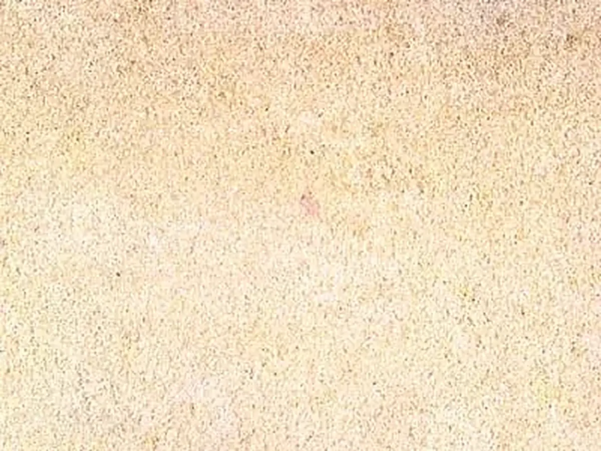 Warthau Sandstone sandstone polished sample – Marmi di Carrara – ivory (1)