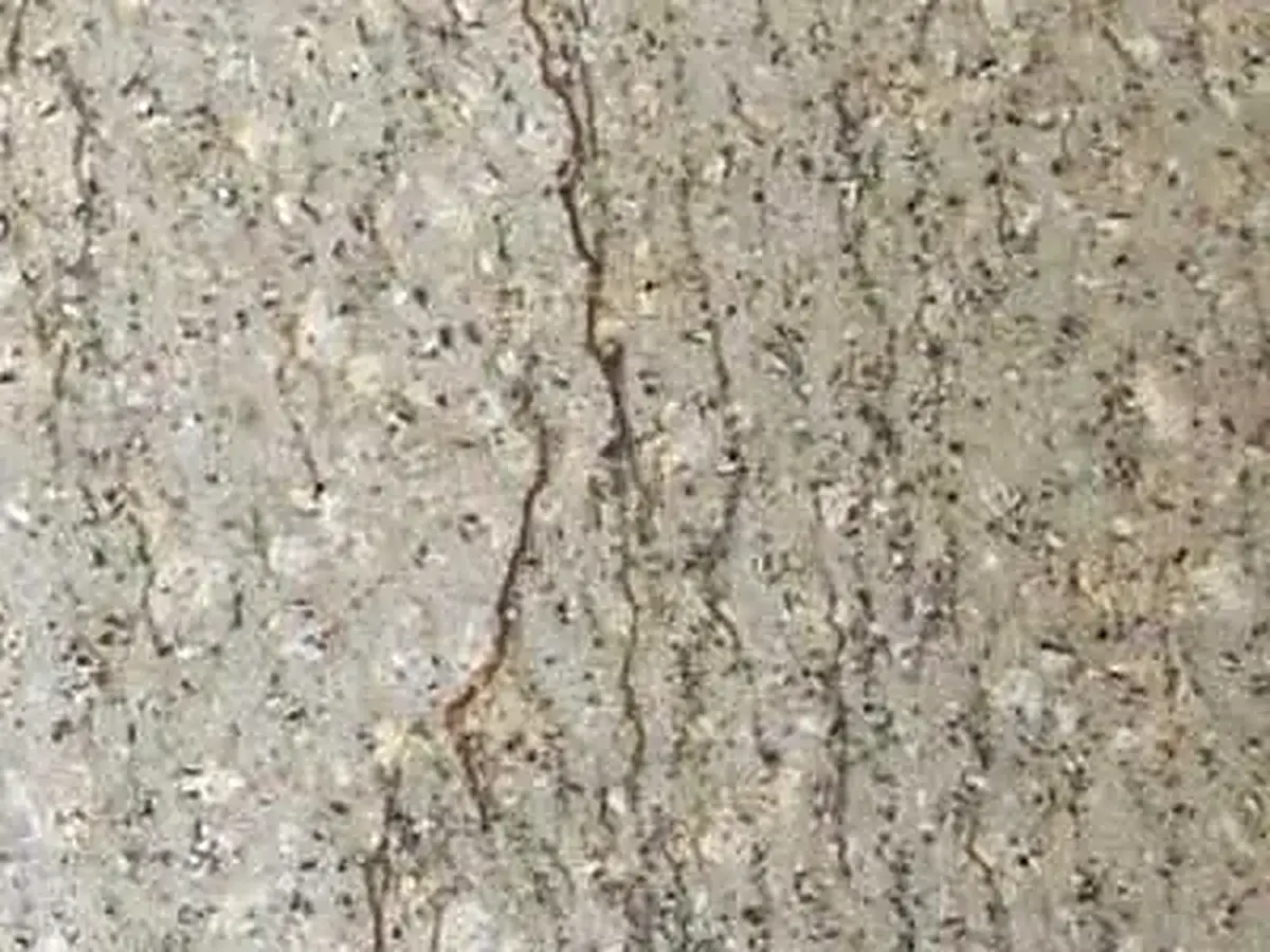 Weidenhahn natural stone polished sample – Marmi di Carrara – grey, light grey (1)