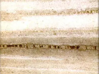 White Fantasy marble polished sample – Marmi di Carrara – ivory, white (1)