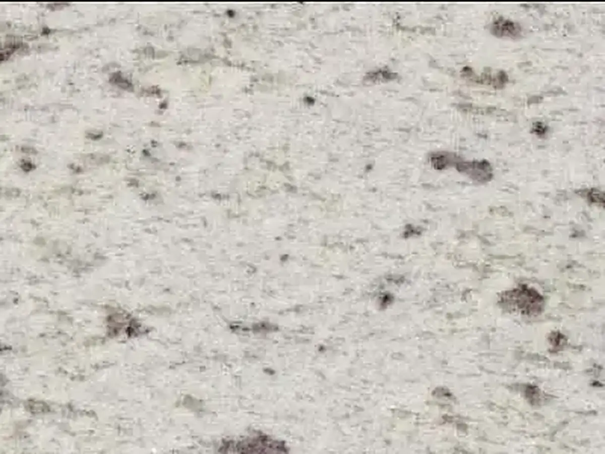 White Galaxy granite polished sample – Marmi di Carrara – light grey, ivory (1)
