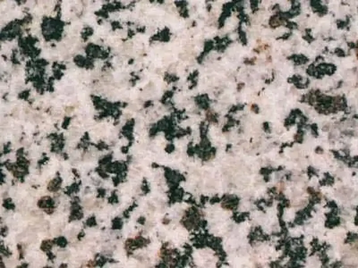 White Granada гранит, полированный образец – Marmi di Carrara – светло-серый, серый (1)