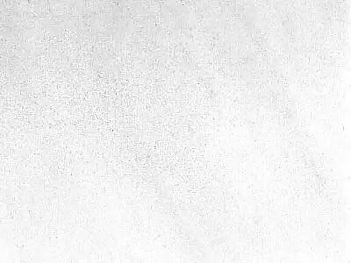 White of Dionissos Pentelikon marbre, échantillon poli – Marmi di Carrara – blanc (1)