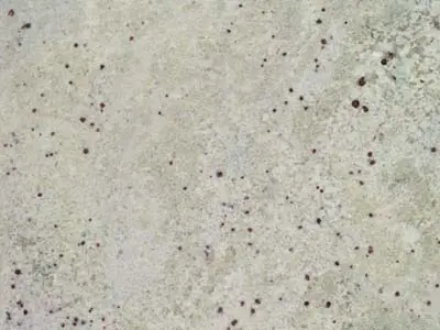 White Palmas granite polished sample – Marmi di Carrara – light grey, beige (1)