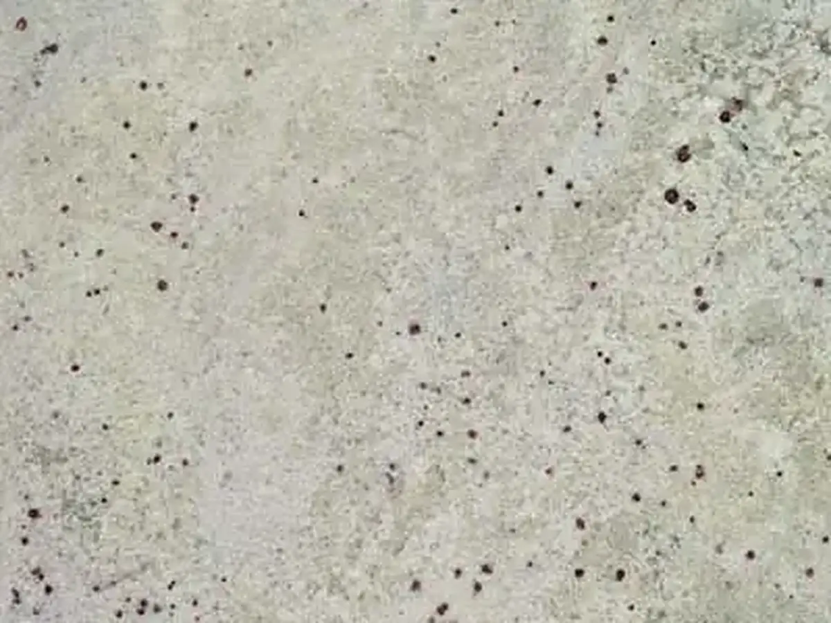 White Palmas granite polished sample – Marmi di Carrara – light grey, beige (1)