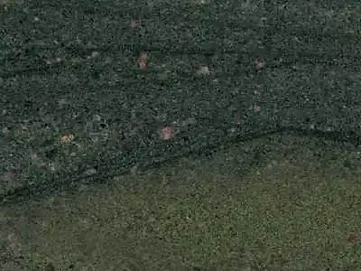 Wild West Green cuarcita, muestra pulida – Marmi di Carrara – antracita, negro (1)