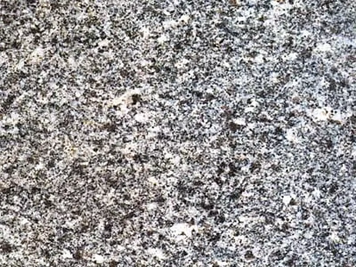 Wolfstein granite polished sample – Marmi di Carrara – grey, light grey (1)