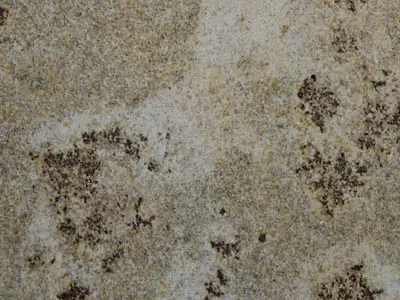 Yellow Mantena granito, campione lucido – Marmi di Carrara – grigio, verde (1)