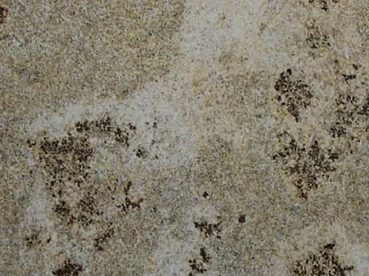 Yellow Mantena granito, campione lucido – Marmi di Carrara – grigio, verde (1)