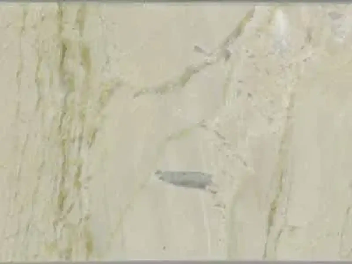 Zar Waryaz calcaire, échantillon poli – Marmi di Carrara – gris clair, beige (1)