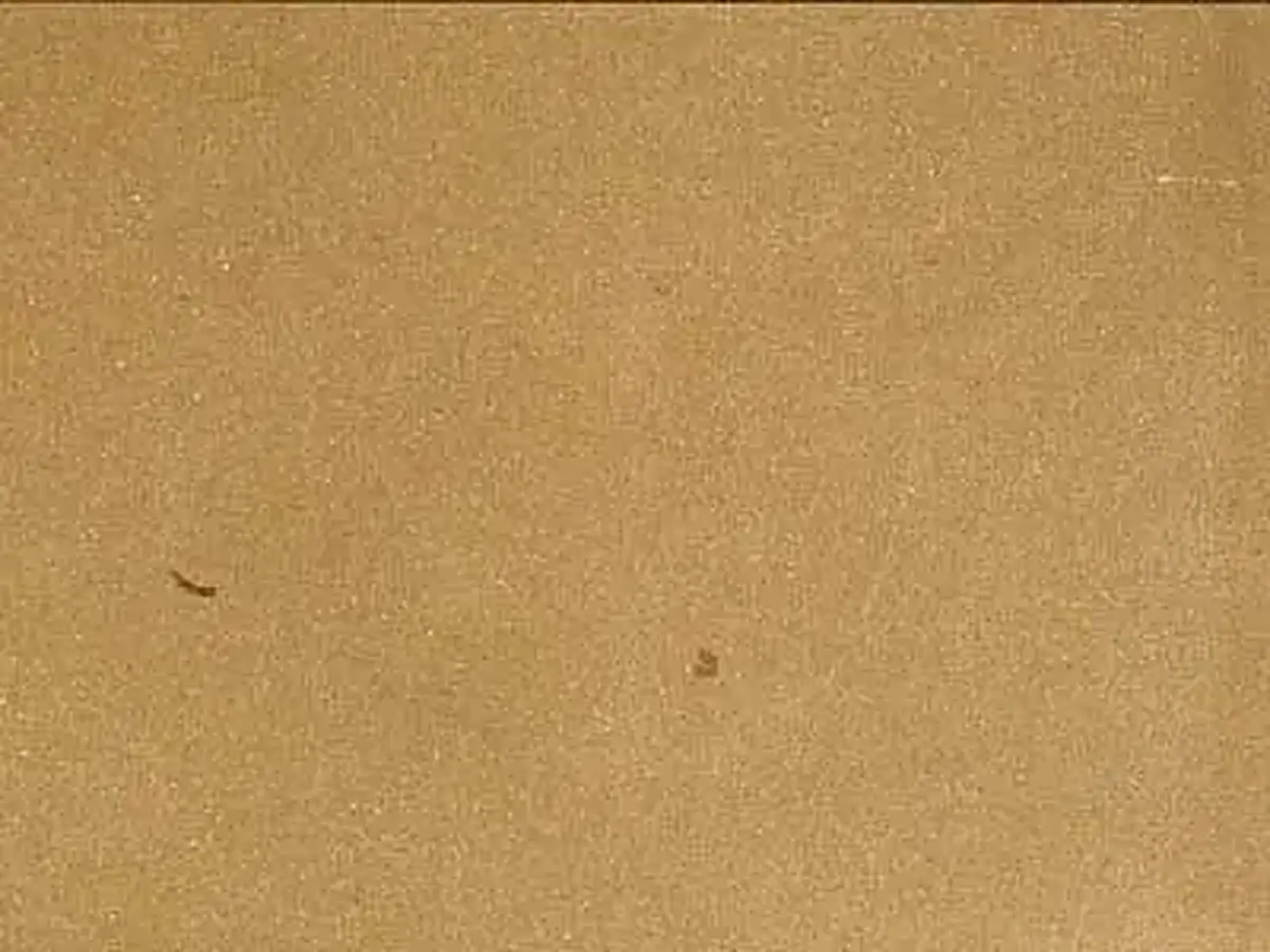 Züschen Sandstein, polierte Probe – Marmi di Carrara – gold (1)